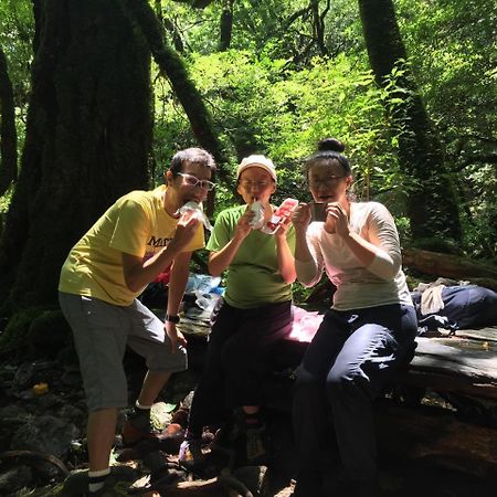 Yakushima Youth Hostel Екстер'єр фото