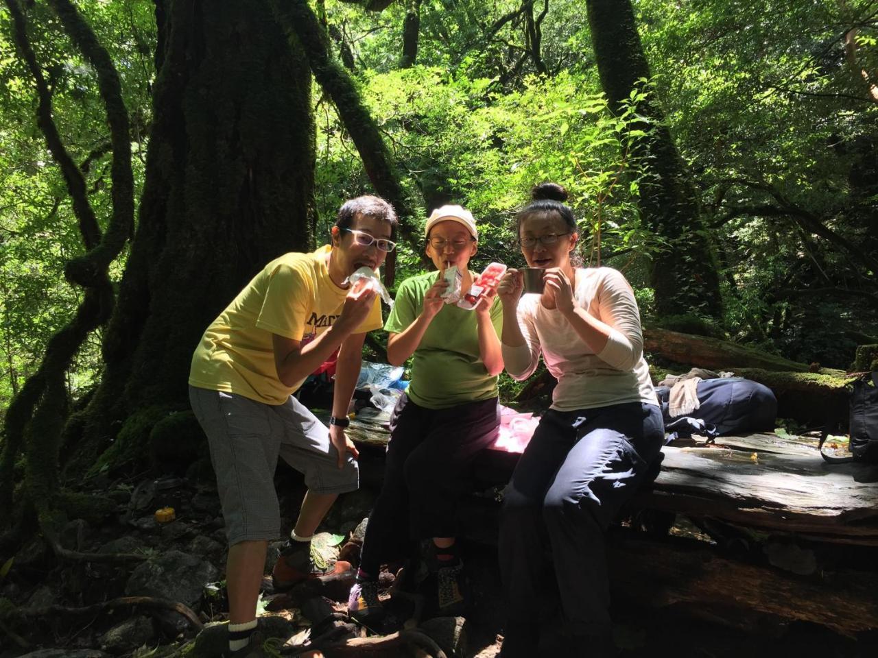 Yakushima Youth Hostel Екстер'єр фото